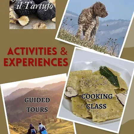 Il Tartufo ベッド・アンド・ブレックファスト 3*