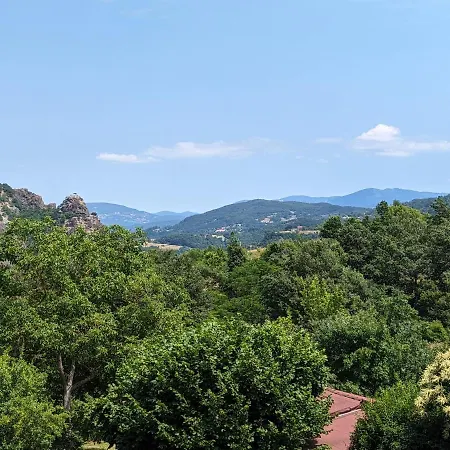 Il Tartufo Sozzi