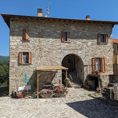 Il Tartufo