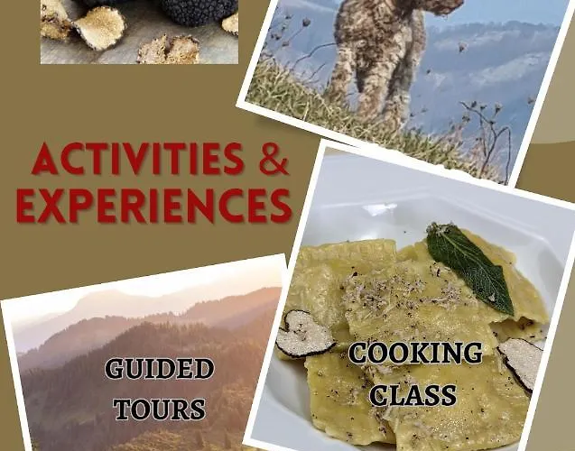 Il Tartufo Bed & Breakfast 3*