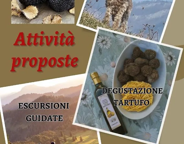 Il Tartufo 3*